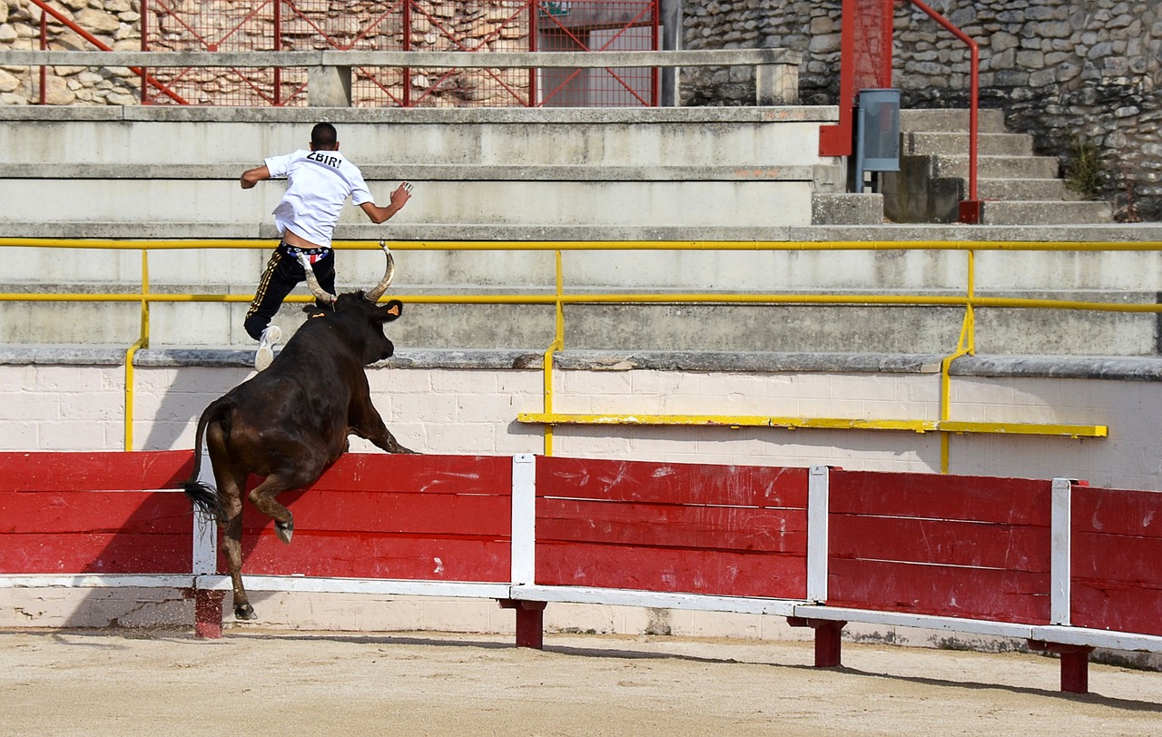決定