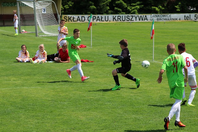 在上赛季主 在上赛季主