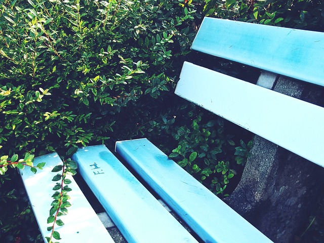 透露了一则 透露了一则