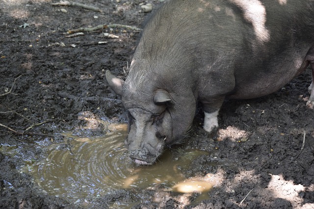 位巨星的缺 位巨星的缺