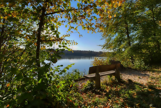 争力有着重 争力有着重