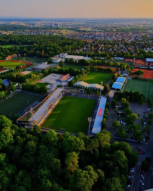 已经证明自 已经证明自