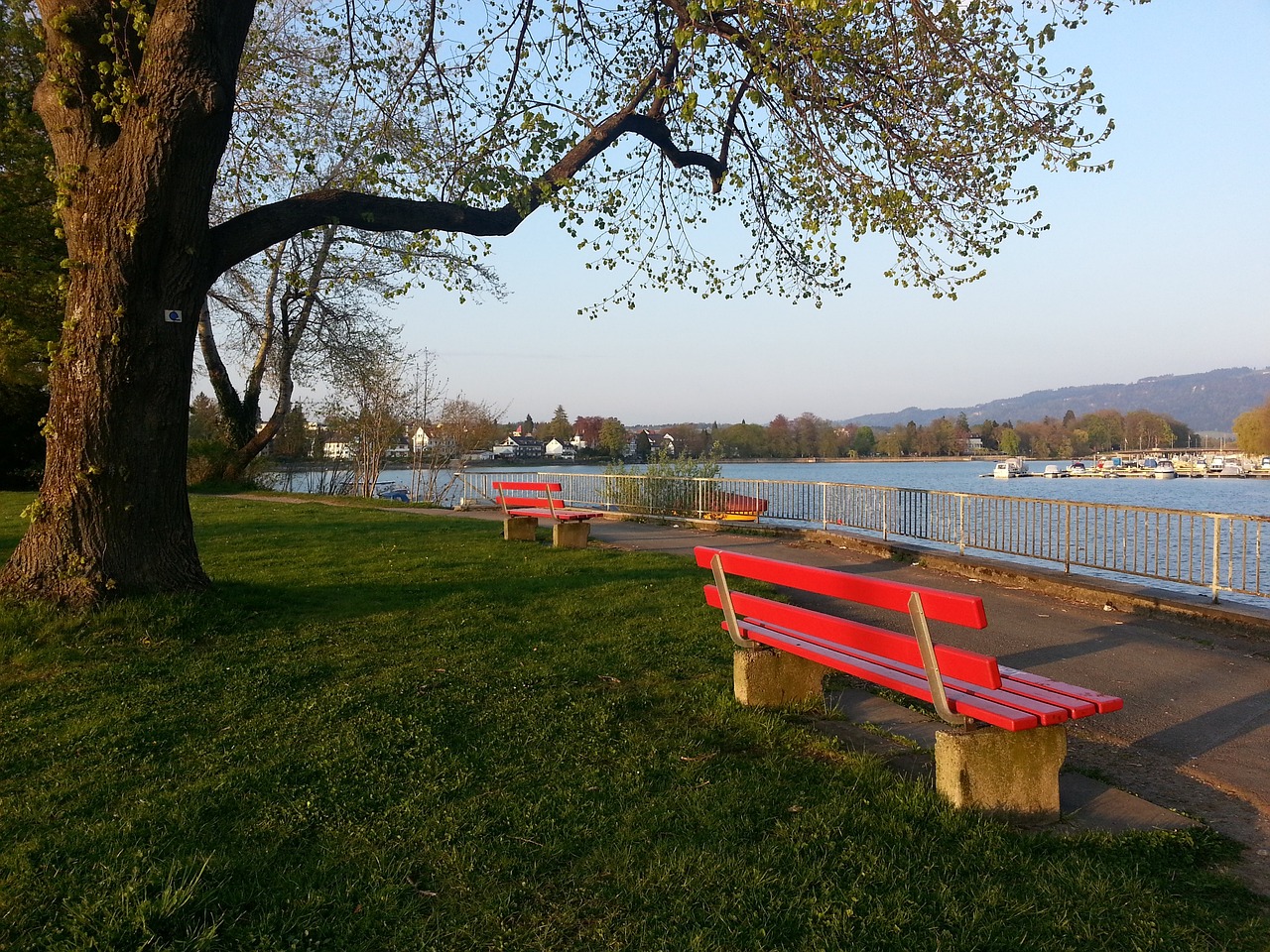 了非凡的个 了非凡的个